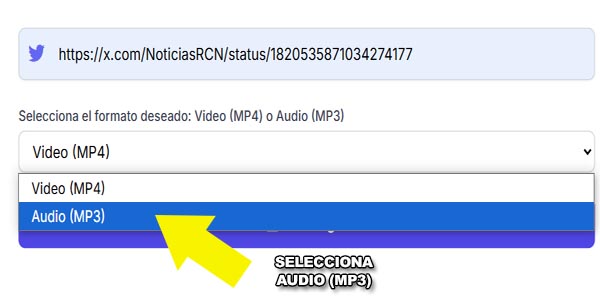 Elige Audio (MP3) para convertir el video a audio